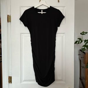Aritzia Babaton Mini Dress